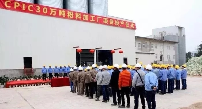 重慶 CPIC 葉臘石 加工