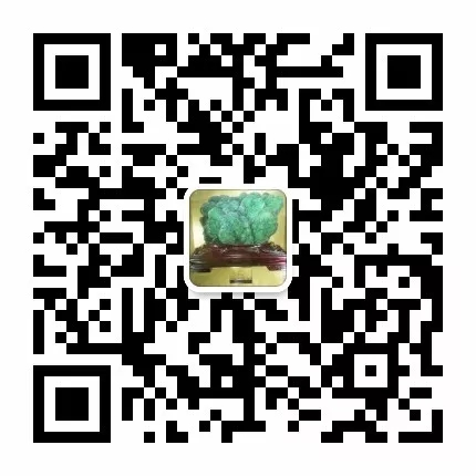 北京 石英 硅材料 精細加工 研修班