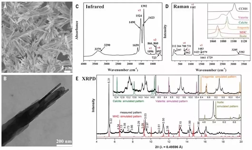 碳酸鈣 武漢理工 發(fā)現(xiàn)