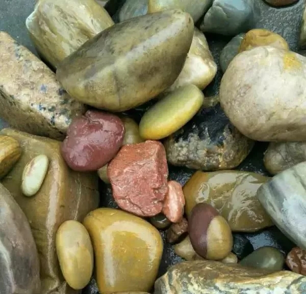 硅質(zhì)玉石 識(shí)別 鑒賞