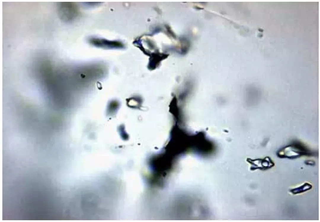 石英 流體包裹體