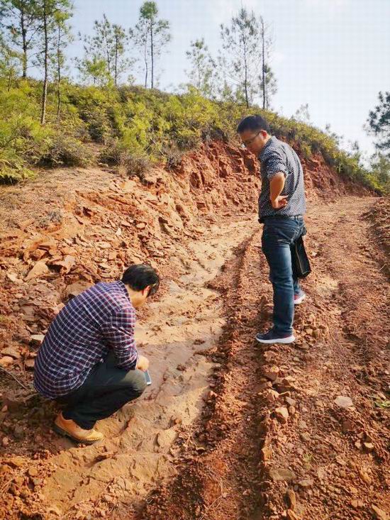 江西瑞金發(fā)現(xiàn)1處中型螢石礦！