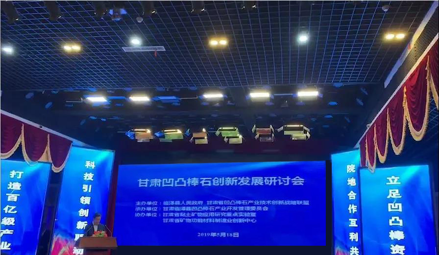 甘肅凹凸棒石創(chuàng)新發(fā)展研討會在臨澤隆重召開！