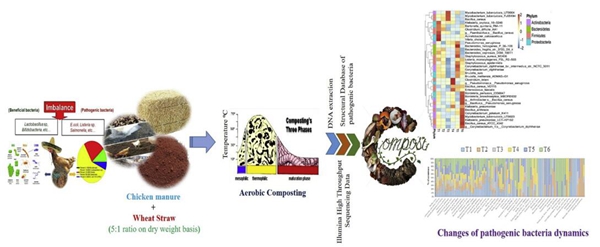 西北農(nóng)大張?jiān)鰪?qiáng)教授團(tuán)隊(duì)在利用粘土礦物修復(fù)環(huán)境污染方面取得重要進(jìn)展！