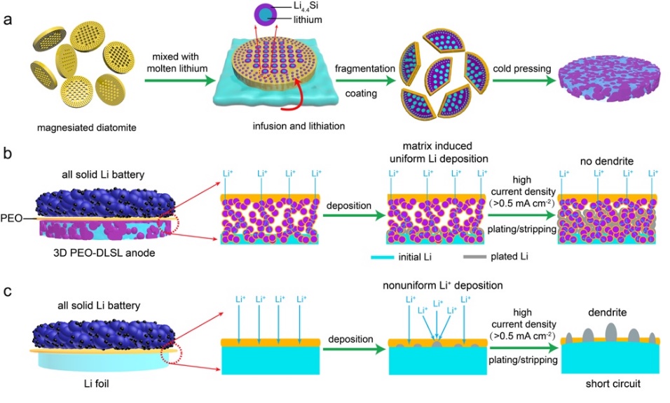 中國科大利用硅藻土研制出高性能固態(tài)鋰電池復(fù)合負(fù)極！