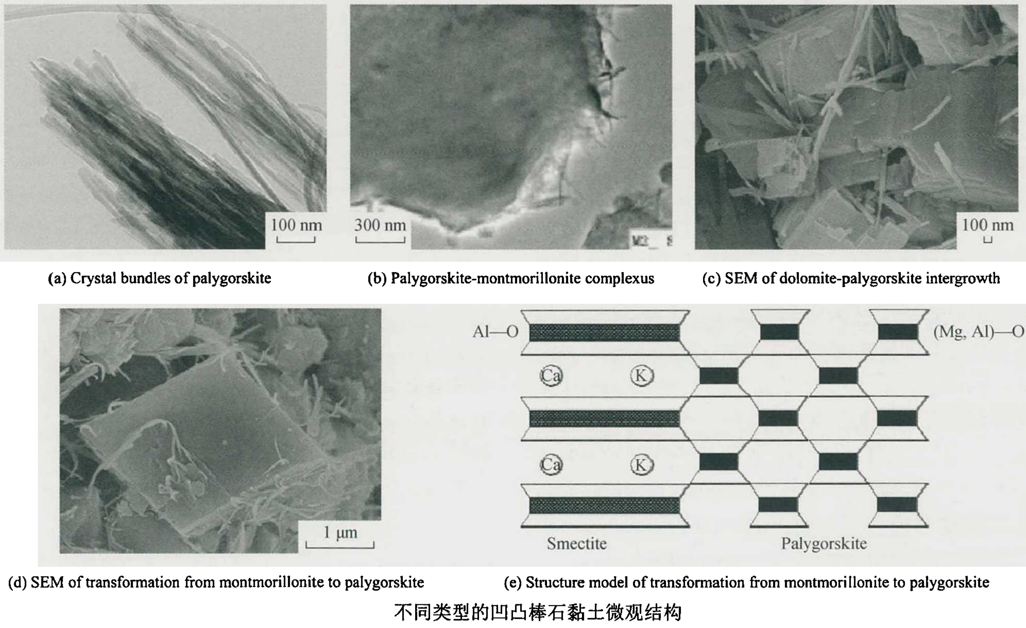 4大類凹凸棒石的加工與高端應(yīng)用方向！