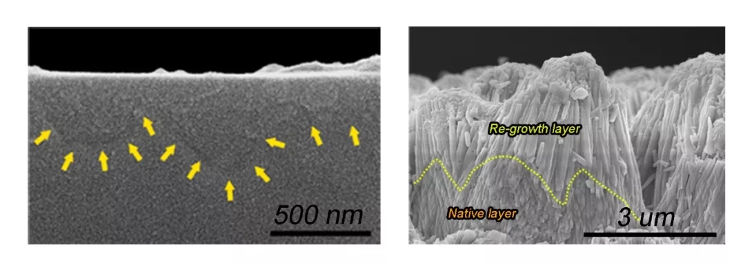 浙大最新Nature：碳酸鈣變“形”記