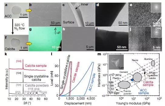 浙大最新Nature：碳酸鈣變“形”記