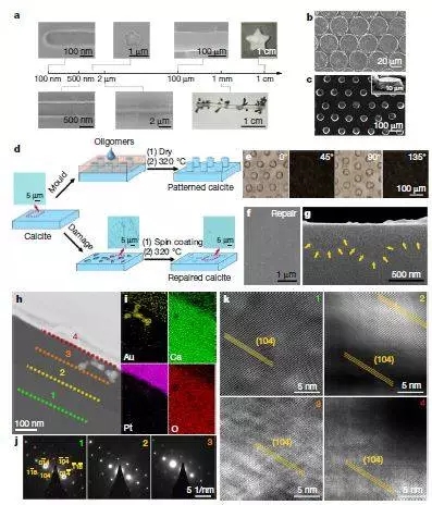 浙大最新Nature：碳酸鈣變“形”記