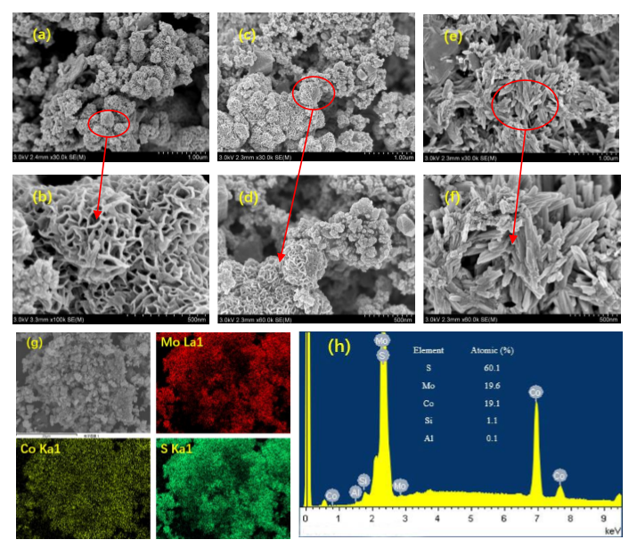 北科大林海課題組在去除抗生素用新型光催化劑研究方面取得新進(jìn)展