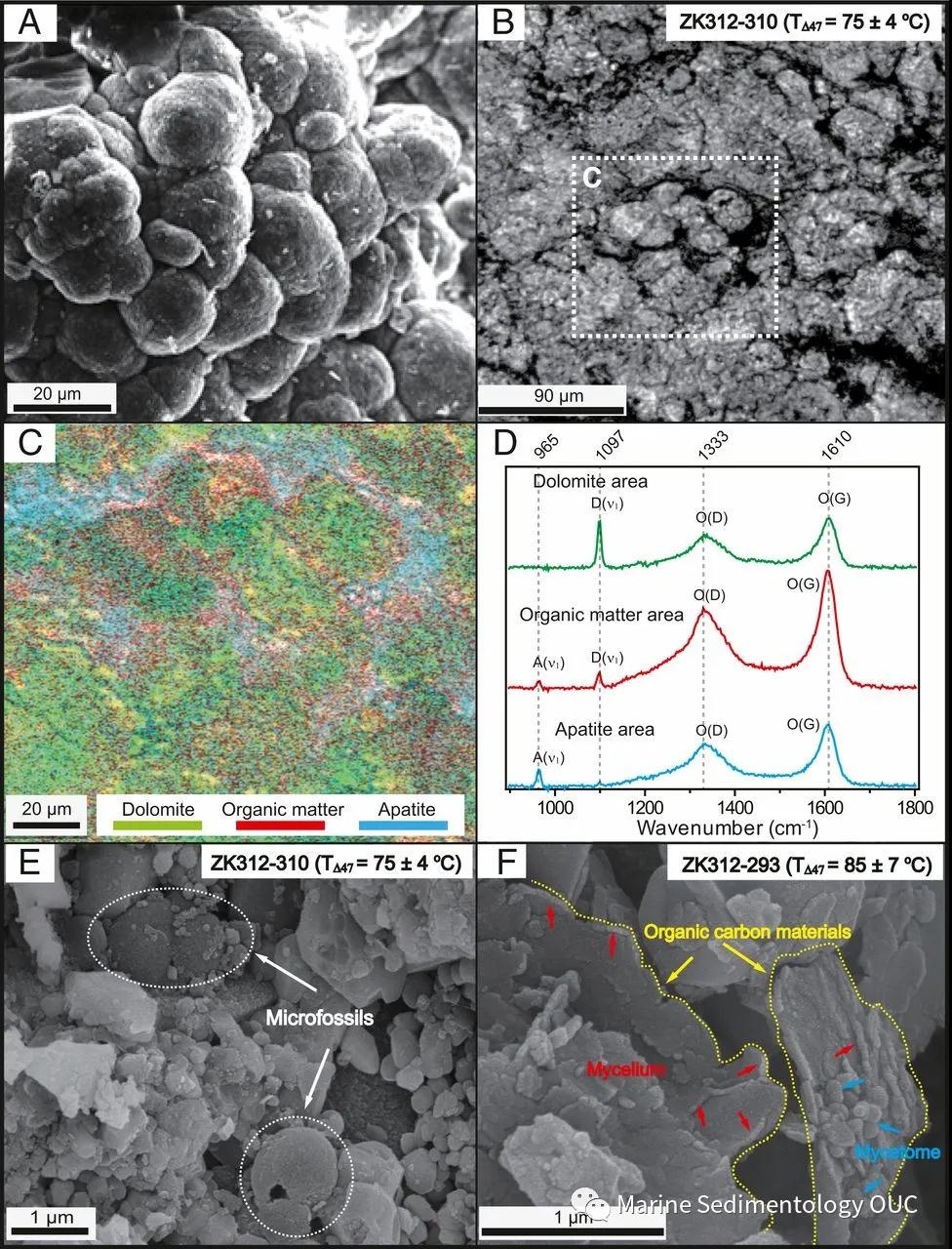 中國地質(zhì)大學(xué)（武漢）揭示地學(xué)界百年“白云石之謎”