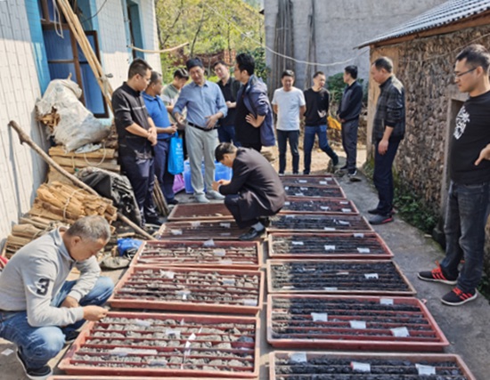 資源量800萬(wàn)噸，江西上饒市廣豐區(qū)楊村礦區(qū)黑滑石礦巖里礦段勘探項(xiàng)目通過(guò)驗(yàn)收