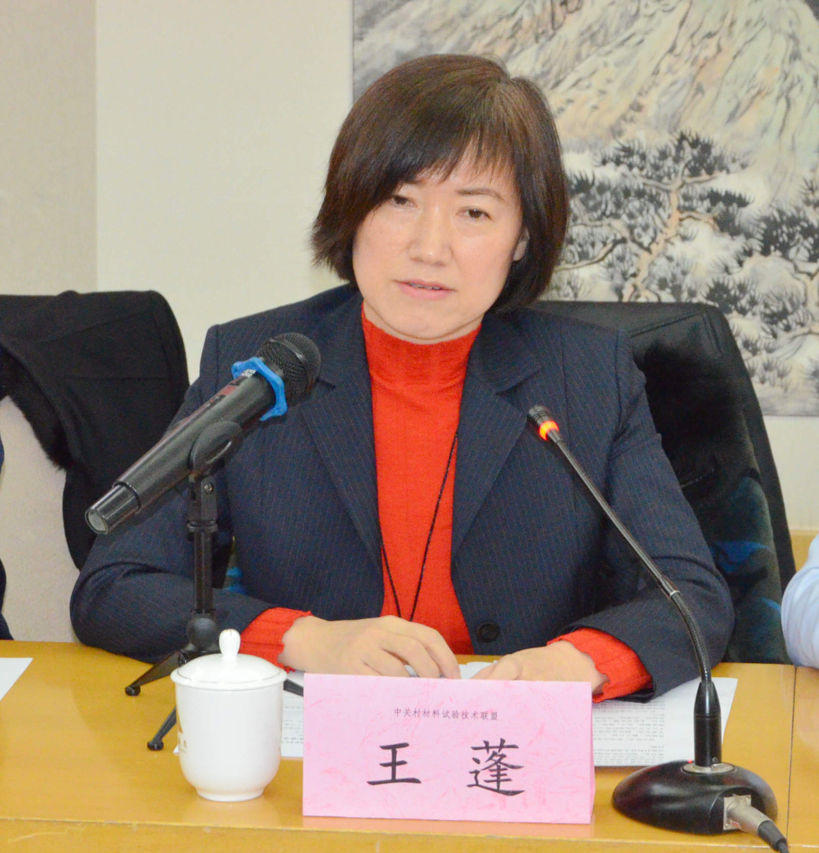 熱烈慶祝！CSTM/FC04/TC06礦物功能材料技術(shù)委員會(huì)正式成立！