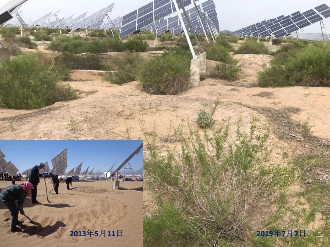 十年磨一劍：西北師大雷自強(qiáng)教授課題組成功研制出土基防蒸發(fā)材料