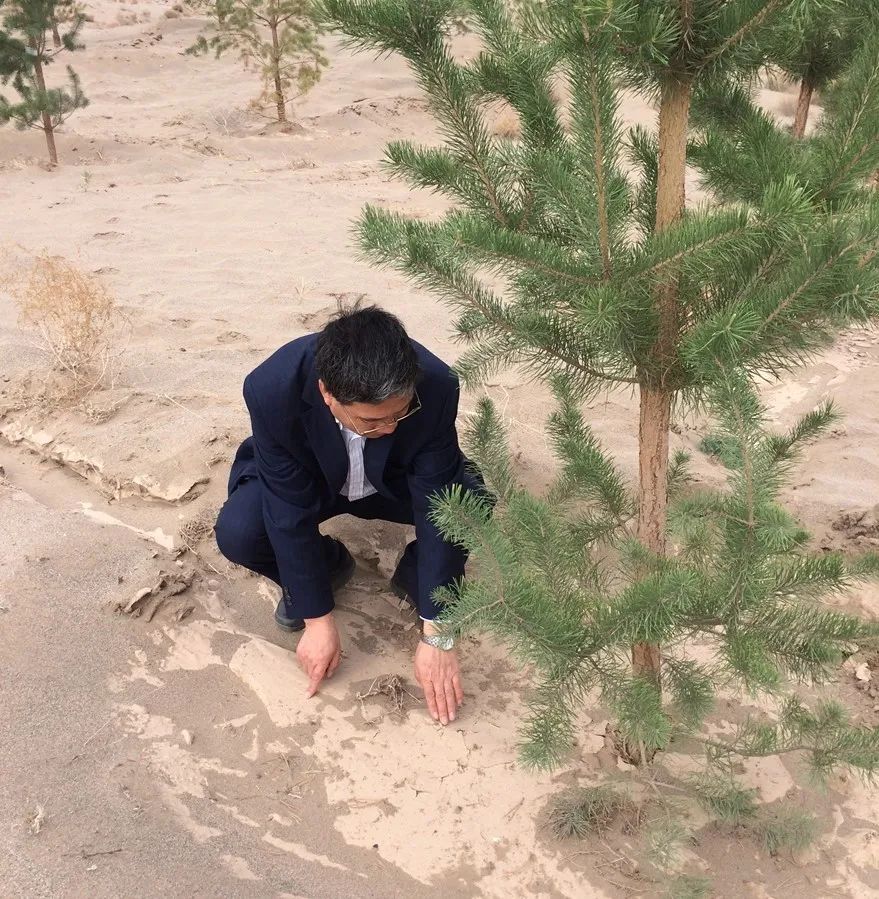 十年磨一劍：西北師大雷自強(qiáng)教授課題組成功研制出土基防蒸發(fā)材料