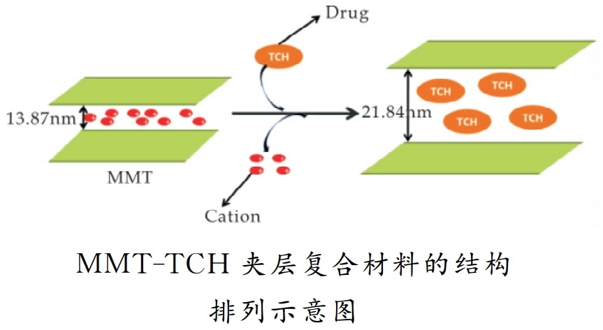 膨潤土在醫(yī)藥緩釋劑方面的應(yīng)用及研究進(jìn)展