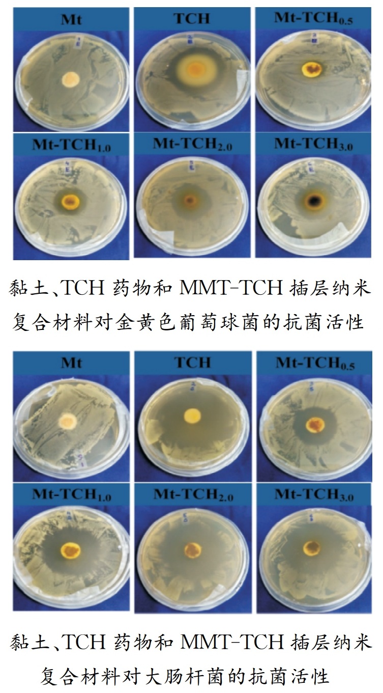 膨潤土在醫(yī)藥緩釋劑方面的應(yīng)用及研究進(jìn)展
