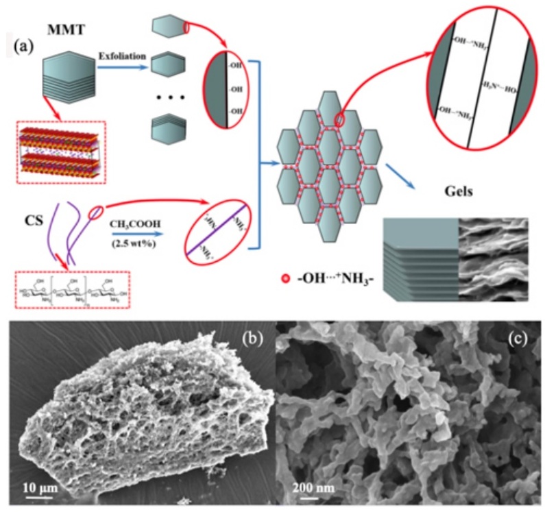 一文了解二維蒙脫石納米片基環(huán)境功能材料