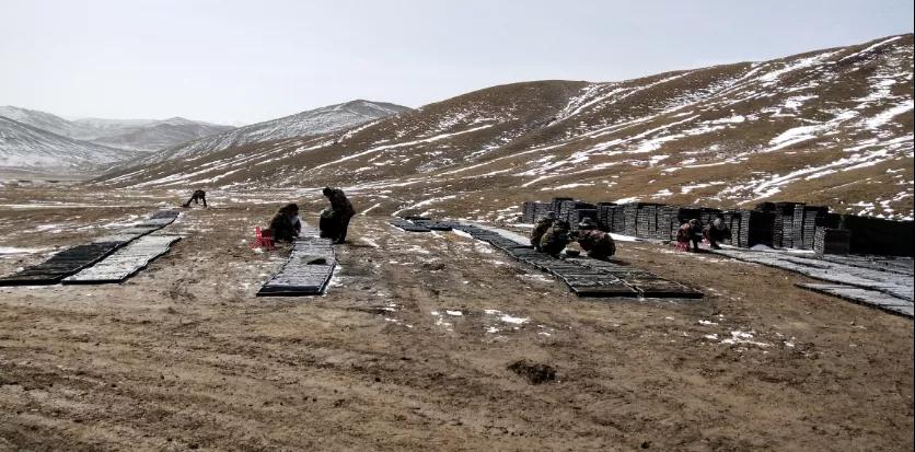 中國地質學會2020年度十大地質找礦成果揭曉，江西發(fā)現世界最大滑石礦