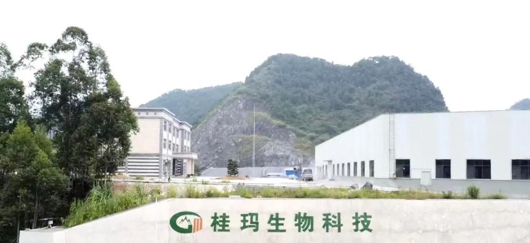 廣西桂瑪生物科技有限公司食品級碳酸鈣生產(chǎn)線建成投產(chǎn)