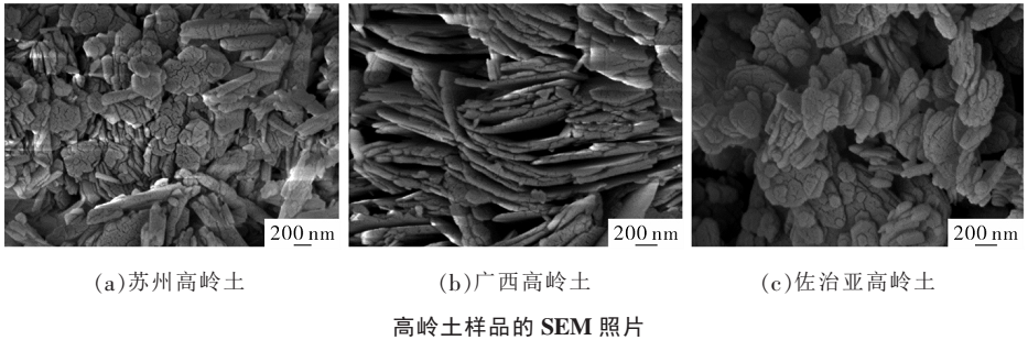 蘇州、廣西和美國佐治亞州，哪個(gè)地區(qū)的高嶺土適合作催化劑載體？ 　　