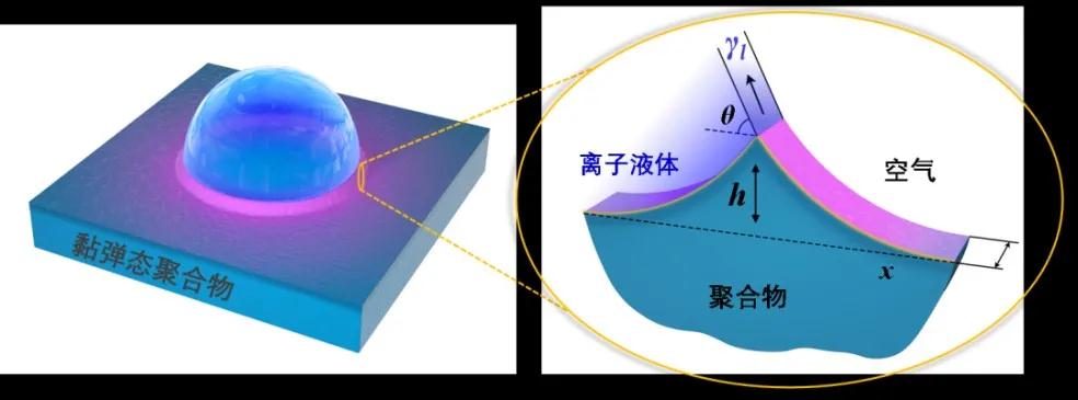 刷新認知！高分子塑料表面原來呈橡膠狀 　　