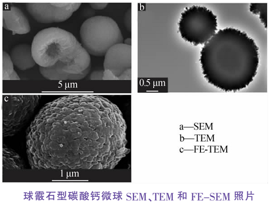 分散鼓泡碳化法制備球霰石型碳酸鈣微球工藝及影響因素 　　