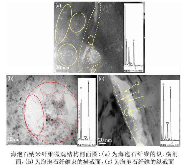 海泡石礦物生態(tài)環(huán)境功能材料及應(yīng)用研究進(jìn)展 　　