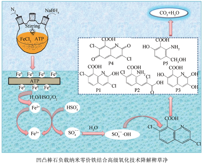 凹凸棒石表面無(wú)機(jī)負(fù)載吸附劑制備技術(shù)及進(jìn)展 　　