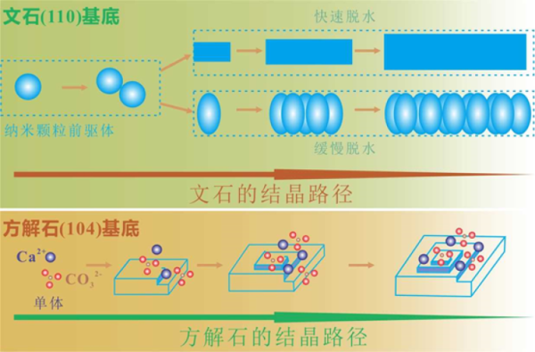廣州地化所文石與方解石晶面礦物學(xué)研究取得進(jìn)展 　　 　　　 　　