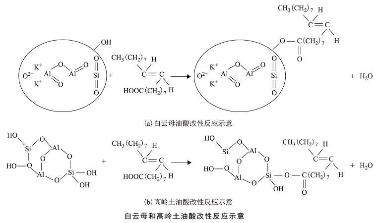 油酸改性白云母和高嶺土對聚四氟乙烯潤滑脂摩擦學(xué)性能的影響 　　