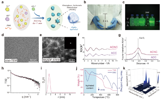 俞書宏院士最新Nature子刊：碳酸鈣也能作造影劑 　　 　　