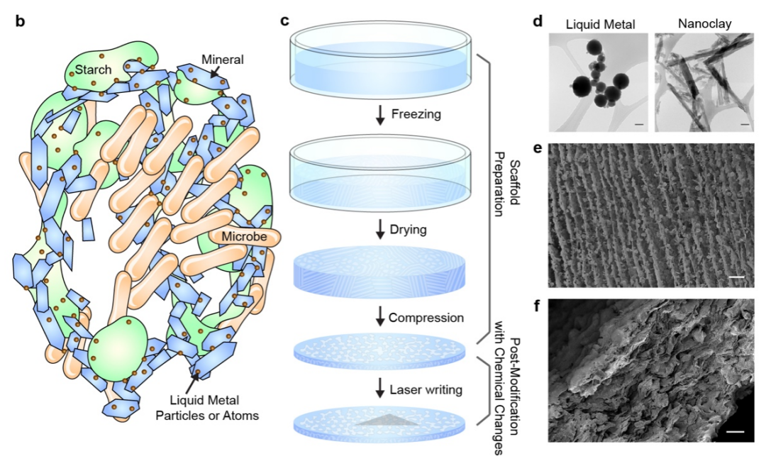 最新研究：科學(xué)“吃土”可治療腸道疾病
