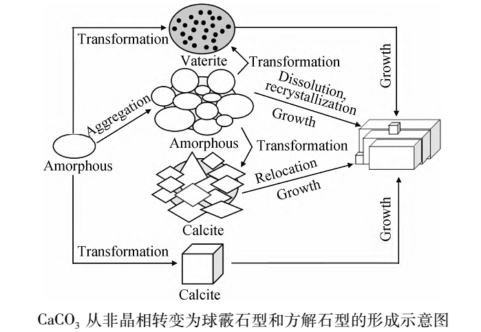 球霰石型碳酸鈣制備方法及研究進(jìn)展