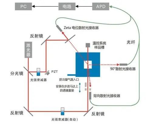 【資訊】丹東百特榮獲國家專精特新“小巨人”企業(yè)稱號(hào)