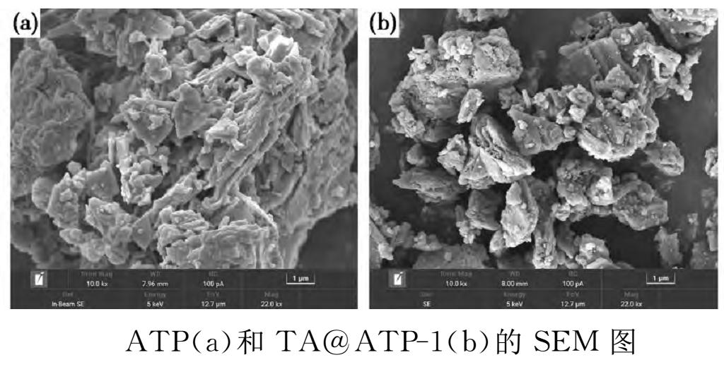 【技術】有機-無機改性三聚磷酸鋁防銹顏料的研究