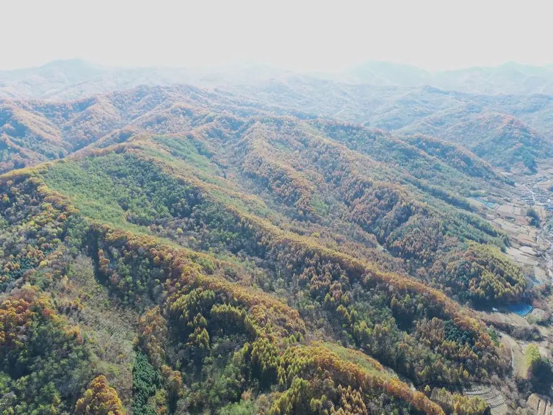 12.52億噸！吉林新發(fā)現(xiàn)超大型含鉀巖石礦床！ 　　