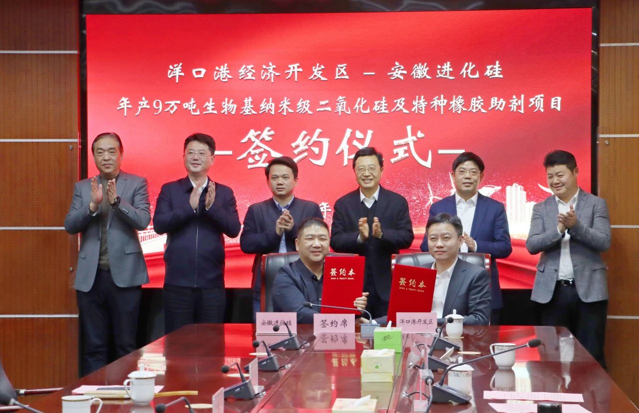 9萬(wàn)噸生物基納米級(jí)二氧化硅及橡膠助劑項(xiàng)目落戶江蘇