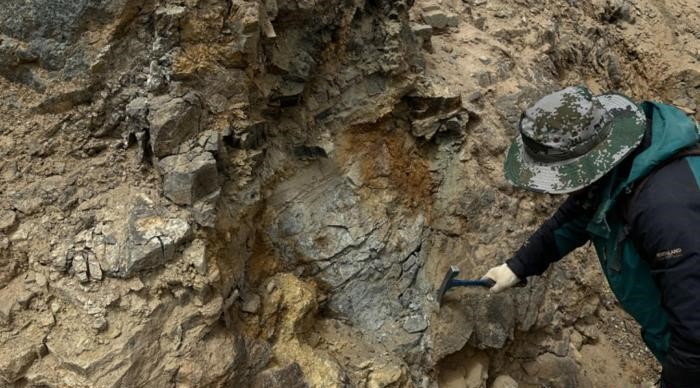 價(jià)值200億！青海柴達(dá)木發(fā)現(xiàn)超大型金礦 　　