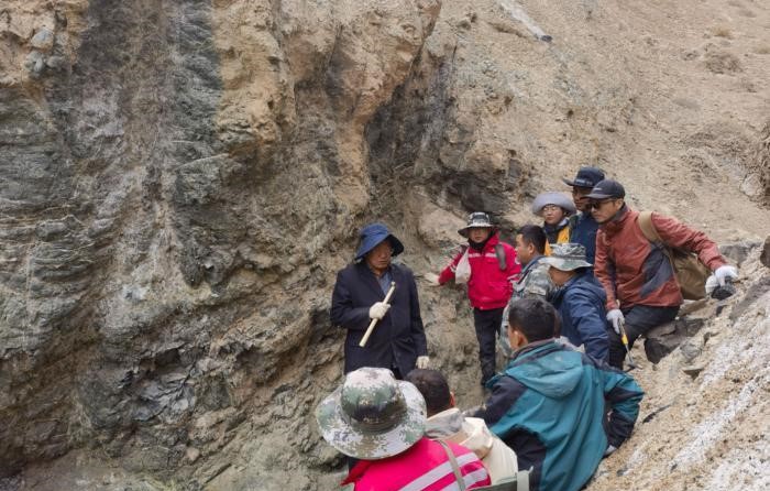 價(jià)值200億！青海柴達(dá)木發(fā)現(xiàn)超大型金礦 　　