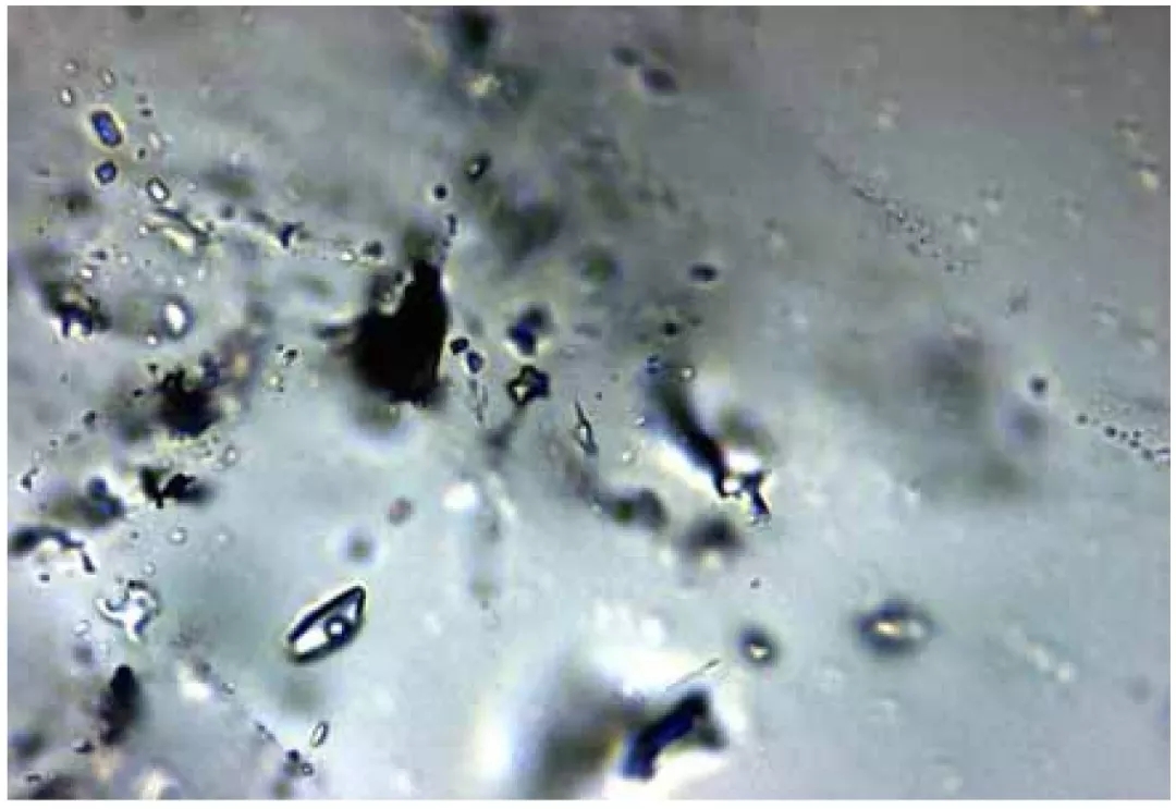 20張圖看清石英礦中包裹體的真面目！