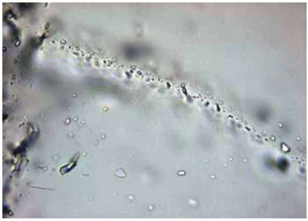 20張圖看清石英礦中包裹體的真面目！