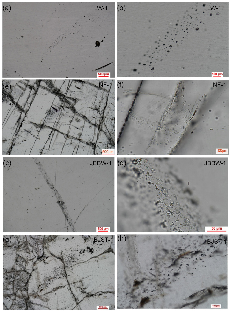 20張圖看清石英礦中包裹體的真面目！