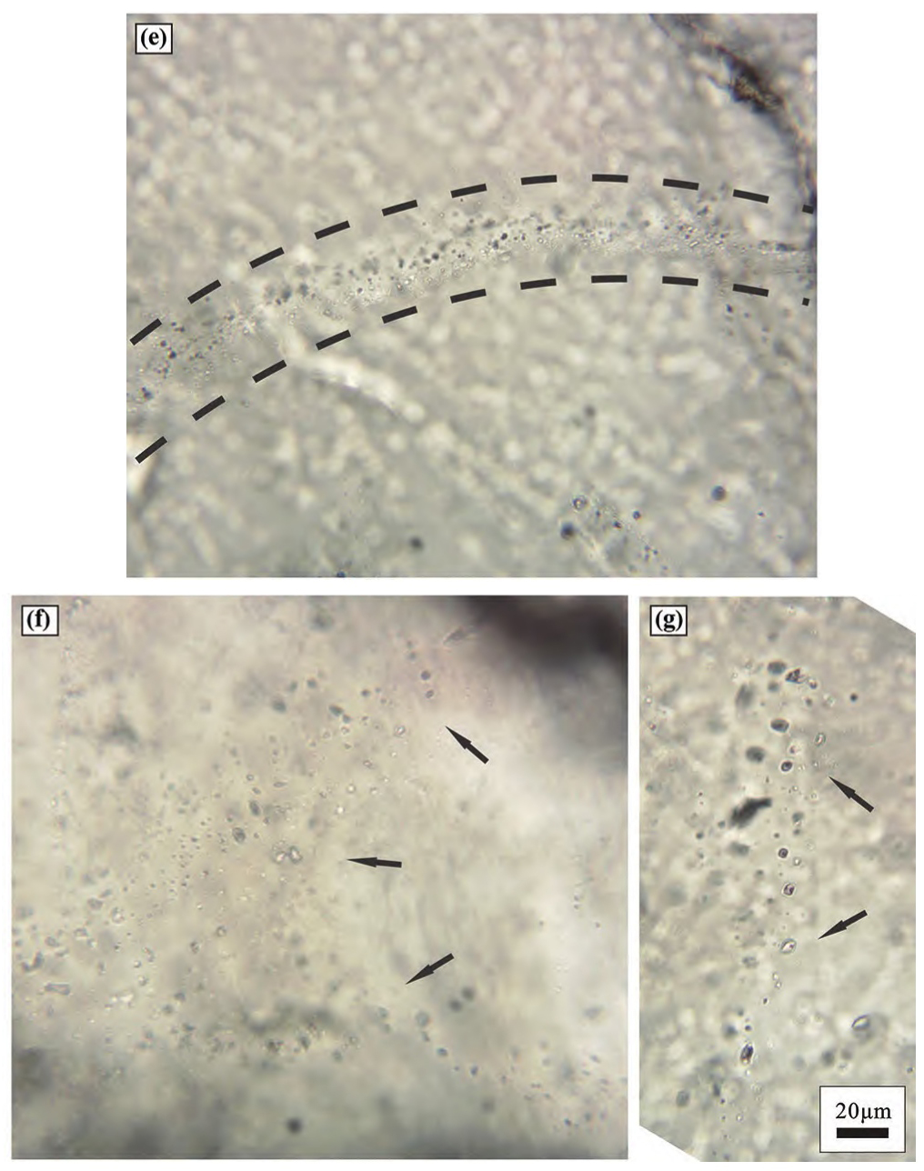 20張圖看清石英礦中包裹體的真面目！
