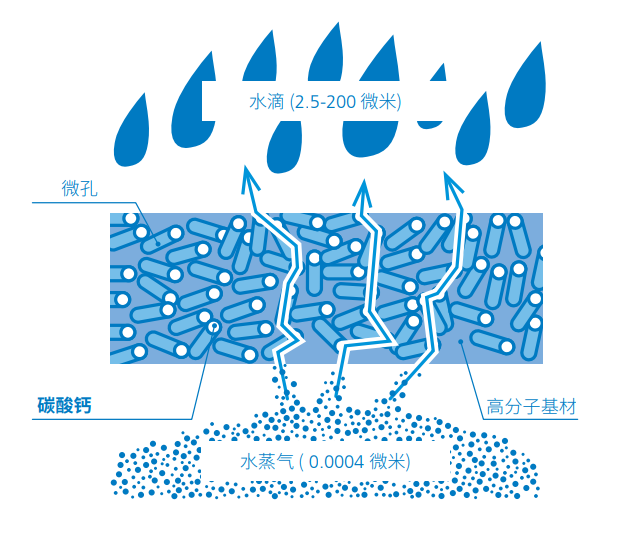 透氣膜用碳酸鈣質(zhì)量指標(biāo)、技術(shù)問(wèn)題 　　