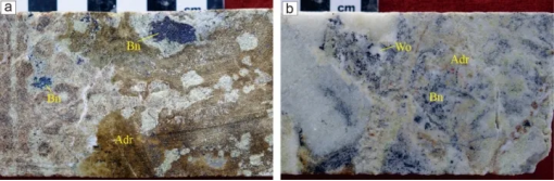 我國(guó)發(fā)現(xiàn)2種新礦物——氟碳鈣釹礦、菊興銅礦 　　