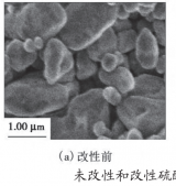 SDS改性化妝品用硫酸鋇