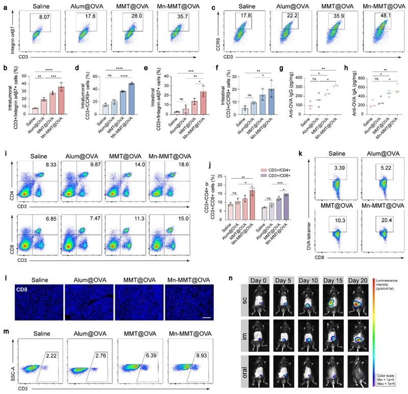 蒙脫石黏膜疫苗，成功實(shí)現(xiàn)結(jié)直腸癌免疫治療